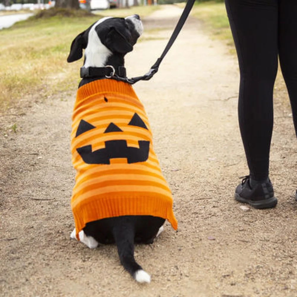 🎃🍂Jack-O-lantern Halloween Dog Sweater, for Dogs or Cats-M